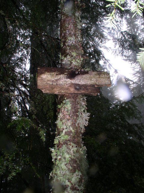 5.7.06 Wauna Point 013 